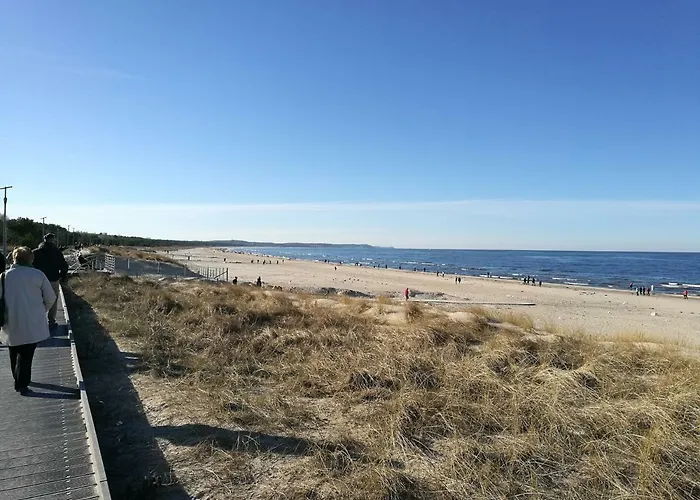 Baltic - Carmen シフィノウイシチェ